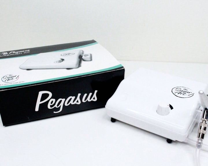 Portable Airbrush System