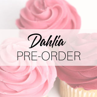(Pre-Order) Dahlia Natural Color