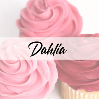 Dahlia Natural Color (Exp 5/26)