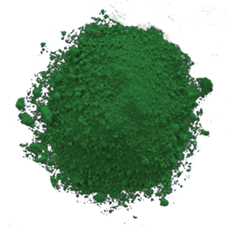 Rose Leaf Edible Paint Powder - FDA & Kosher - rose-leaf-edible-paint-powder - elite color, green - The Sugar Art