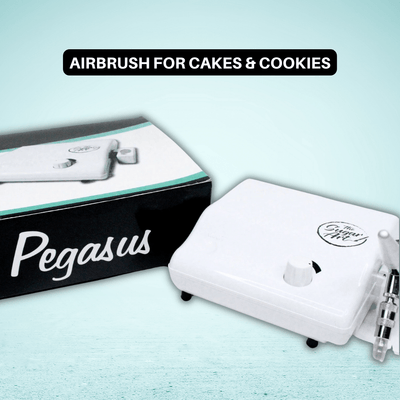  Portable Airbrush System